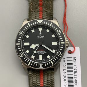 Tudor